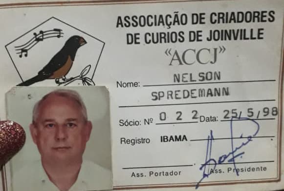 Carteirinha de Nelson Speedman na Associação de Criadores de Curíos de Joinville (ACCJ)